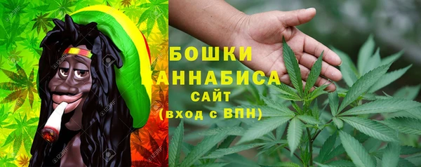 молекула духа Анива