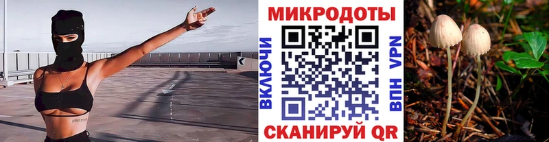 что такое Никольское Галлюциногенные грибы MAGIC MUSHROOMS